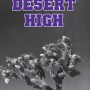 Desert High by Doug Van Pelt
